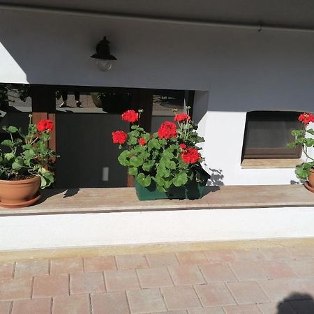Ana Boutique Bed & Breakfast Alba Iulia Eksteriør bilde